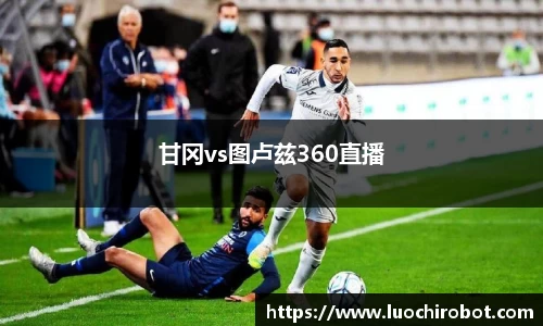 甘冈vs图卢兹360直播